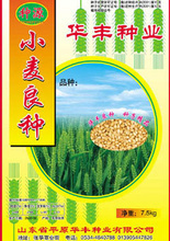小麦种子包装的选择与市场供应分析